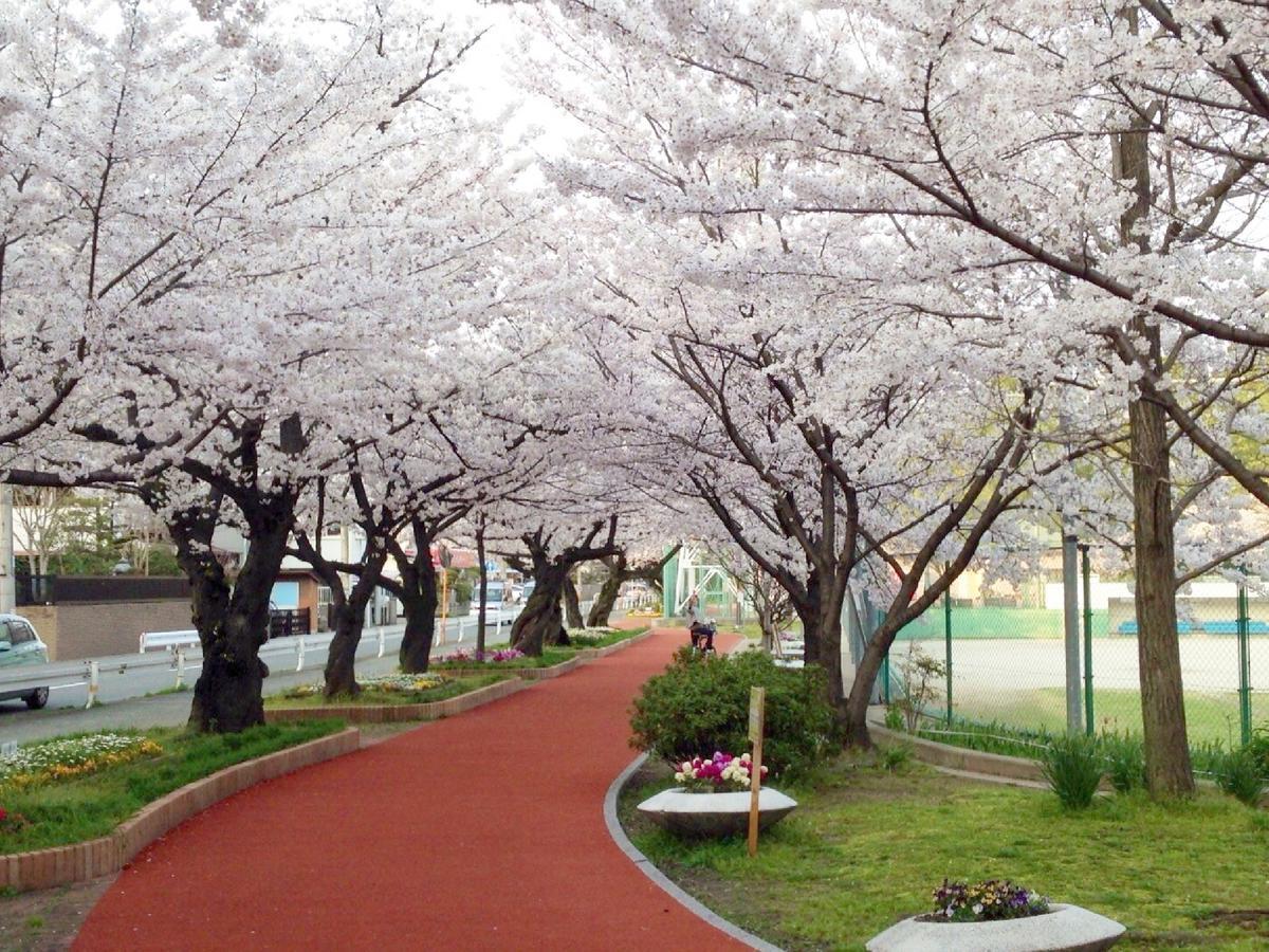 Hotel Wbf Grande Hakata Fukuoka  Luaran gambar